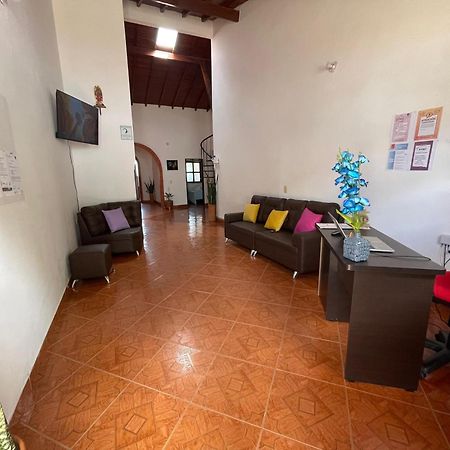 Hostel La Hormiga 바리차라 외부 사진